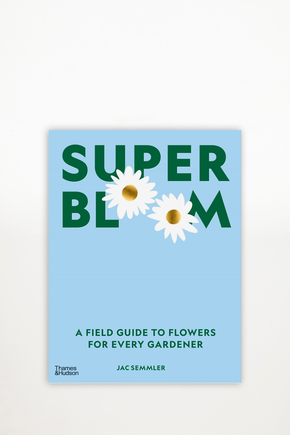 Jac Semmler- Super Bloom - Ensemble Studios